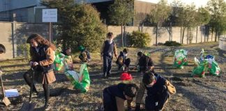  ¿Cómo fomentamos el cuidado del planeta dentro del aula?