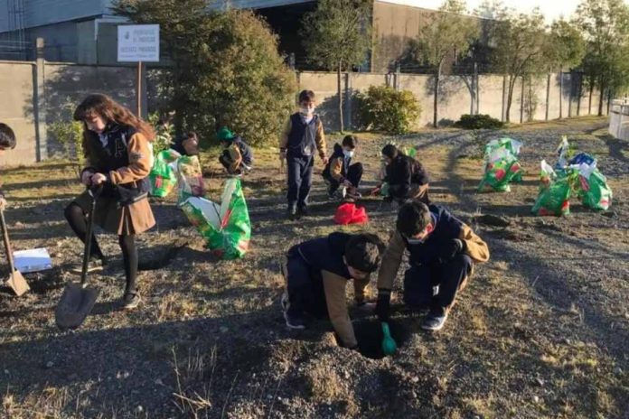  ¿Cómo fomentamos el cuidado del planeta dentro del aula?