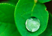 Eficiencia energética: ¿cómo lograr la sustentabilidad en la impresión? Eficiencia energética: ¿cómo lograr la sustentabilidad en la impresión?