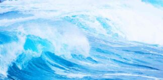 Ejecutivos ABB presentarán soluciones para reducir huella de carbono en proyectos de aguas