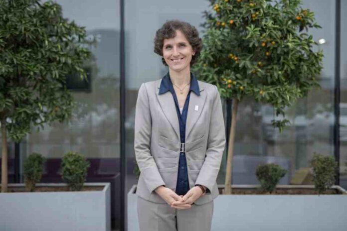 La búsqueda de lo que nos engrandece tras 750 años de la partida de Tomás de Aquino