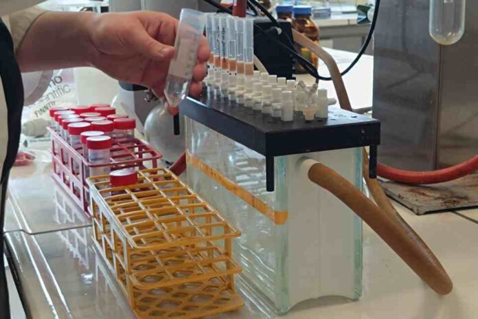 Análisis de sustancias contaminantes Colaboración entre UdeC y Universidad de Amberes en ciencias antárticas permite realizar análisis de sustancias contaminantes