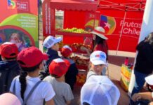 Día Nacional del Deporte: Frutas de Chile fue parte de la multitudinaria celebración de este evento deportivo