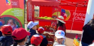 Día Nacional del Deporte: Frutas de Chile fue parte de la multitudinaria celebración de este evento deportivo