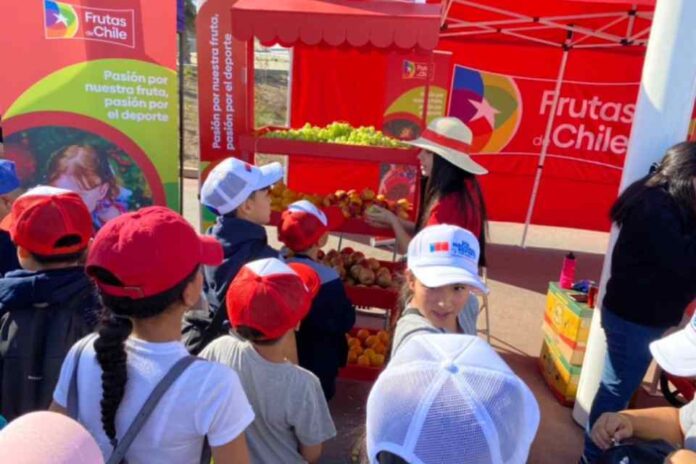 Día Nacional del Deporte Frutas de Chile fue parte de la multitudinaria celebración de este evento deportivo Día Nacional del Deporte: Frutas de Chile fue parte de la multitudinaria celebración de este evento deportivo