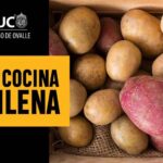 Los alumnos de Duoc UC se están preparando para celebrar el Día de la Cocina Chilena con diversas recetas a base de papas nativas de la zona norte, centro y sur del país