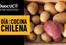 Los alumnos de Duoc UC se están preparando para celebrar el Día de la Cocina Chilena con diversas recetas a base de papas nativas de la zona norte, centro y sur del país