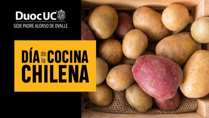 Los alumnos de Duoc UC se están preparando para celebrar el Día de la Cocina Chilena con diversas recetas a base de papas nativas de la zona norte, centro y sur del país