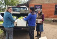 Por tercer año consecutivo expertos UdeC trabajarán en técnicas agrarias con comunidad mapuche