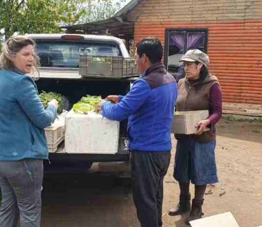 Por tercer año consecutivo expertos UdeC trabajarán en técnicas agrarias con comunidad mapuche
