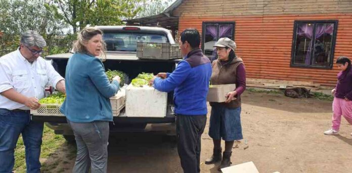 Por tercer año consecutivo expertos UdeC trabajarán en técnicas agrarias con comunidad mapuche