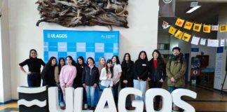 Positivo impacto disminuyendo brechas de género en investigación logra el segundo año del proyecto InES Género I+D+i+e de la Universidad de Los Lagos