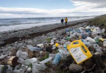 En el Día del Reciclaje Greenpeace advierte: “En plásticos la cifra no alcanza el 8%”