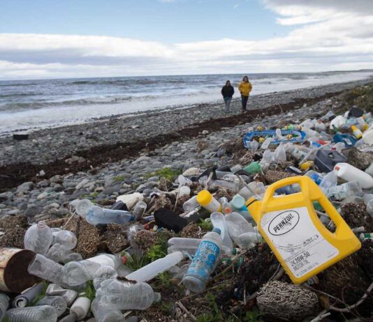 En el Día del Reciclaje Greenpeace advierte: “En plásticos la cifra no alcanza el 8%”
