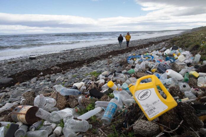 En el Día del Reciclaje Greenpeace advierte: “En plásticos la cifra no alcanza el 8%”