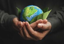 Día Mundial del Medio Ambiente: cuatro ideas para cuidar el planeta desde casa Día Mundial del Medio Ambiente: cuatro ideas para cuidar el planeta desde casa