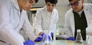Estudiantes puertomontinos investigan el potencial antibacteriano de las algas