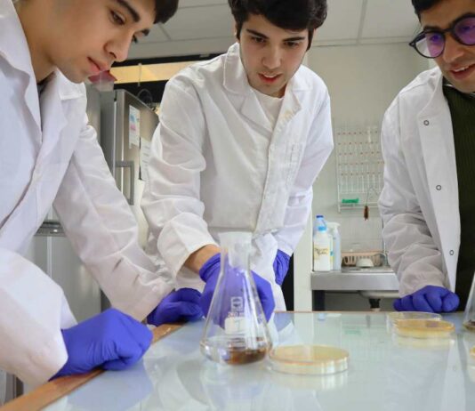 Estudiantes puertomontinos investigan el potencial antibacteriano de las algas
