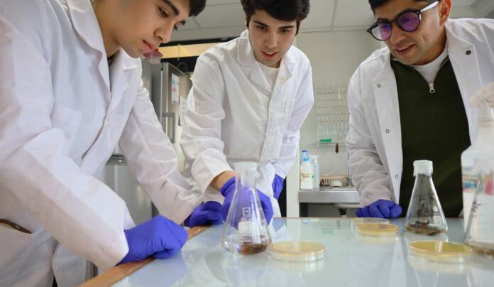Estudiantes puertomontinos investigan el potencial antibacteriano de las algas Estudiantes puertomontinos investigan el potencial antibacteriano de las algas