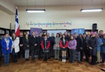 Plan Nacional Docente: La Araucania será parte del piloto de la plataforma “Docentes para Chile”