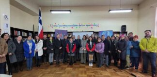 Plan Nacional Docente: La Araucania será parte del piloto de la plataforma “Docentes para Chile”