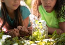 Reciclaje en la niñez: Ventajas de inculcar el compromiso con el medioambiente en los más pequeños Reciclaje en la niñez Ventajas de inculcar el compromiso con el medioambiente en los más pequeños