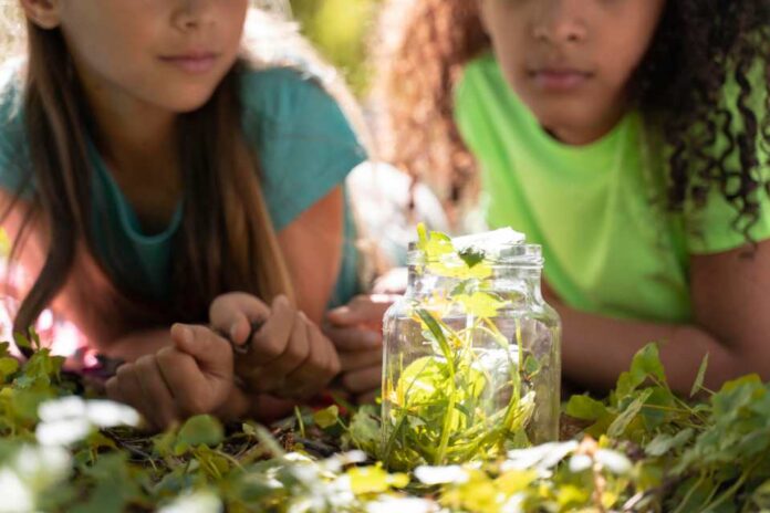 Reciclaje en la niñez Ventajas de inculcar el compromiso con el medioambiente en los más pequeños