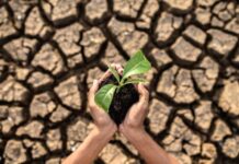 En DeFensa por el Agua: Enfrentando la crisis hídrica con sencillos consejos