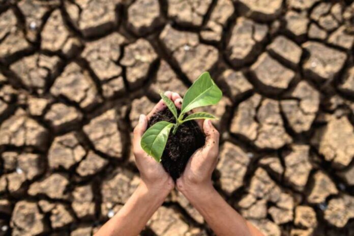 En DeFensa por el Agua: Enfrentando la crisis hídrica con sencillos consejos