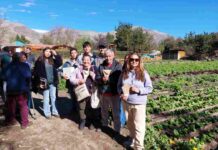 Estudiantes de Las Rojas liberan insectos controladores de plagas que ellos mismos criaron, en campo de Diaguitas