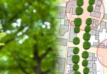 Colegio Seminario Menor de Las Condes y Universidad de Los Andes se unen en iniciativa ambiental para censar árboles