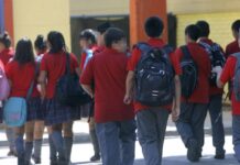 Elige bien Emprendedores usan IA y crean Simulador SAE