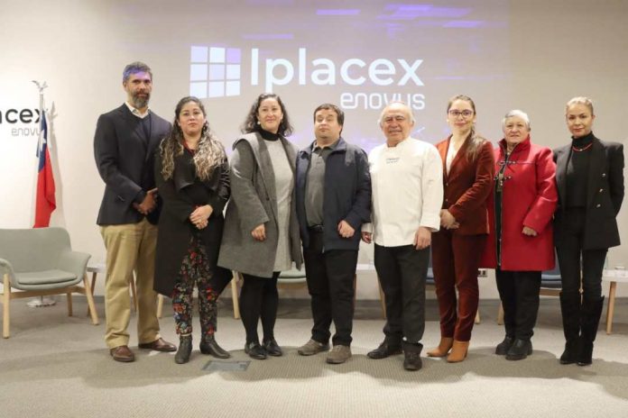 Lanzan carrera online de turismo, con llamado a profundizar perspectiva inclusiva para este 18 XL