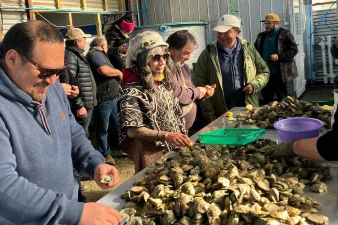 Pescadores artesanales de Los Ríos se capacitan en acuicultura de pequeña escala junto a sus pares de Cochamó y Ancud