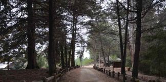 Acceso gratuito a parques nacionales por “Activa tu Primavera”