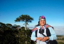 Altos directivos de CONAF y FAO fortalecen trabajo del Proyecto +Bosques Altos directivos de CONAF y FAO fortalecen trabajo del Proyecto +Bosques