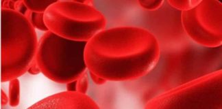 Celebrando el Mes de la Sangre del Cordón Umbilical: Avances y Solidaridad