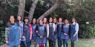 Cómo la educación Montessori ha cambiado el rol de los docentes en Chile