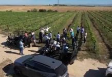 Copeval auspicia diplomado en España sobre tecnología e innovación frutícolas Copeval auspicia diplomado en España sobre tecnología e innovación frutícolas