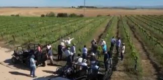 Copeval auspicia diplomado en España sobre tecnología e innovación frutícolas