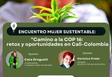 Encuentros Mujer Sustentable: inspirando cambios por el Planeta