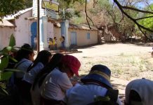 Estudiantes y educadores tradicionales rescatan patrimonio oral y cultural de los pueblos originarios