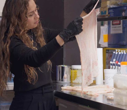 Fundación Swarovski busca la próxima generación de líderes creativos en sostenibilidad con una subvención de 20,000 € Fundación Swarovski busca la próxima generación de líderes creativos en sostenibilidad con una subvención de 20,000 €