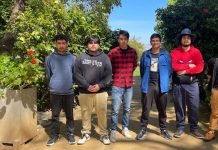 Nueva aplicación despierta a conductores que se van quedando dormidos al volante Nueva aplicación despierta a conductores que se van quedando dormidos al volante