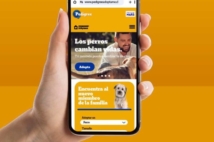 Pedigreeadoptame.cl plataforma que busca cambiar la vida de miles de perritos callejeros promoviendo su adopción responsable