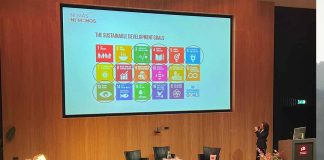 Estudiantes de la UTalca participan en prestigioso programa de negocios en Paises Bajos