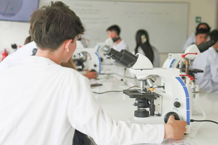 Estudiantes de enseñanza media exploran el mundo microscópico en la UC Temuco