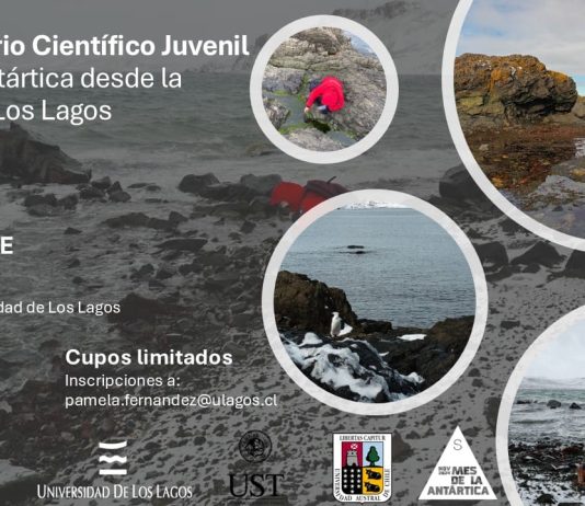 Mañana se realiza el III Seminario Científico Juvenil Ciencia Antártica desde la Región de Los Lagos