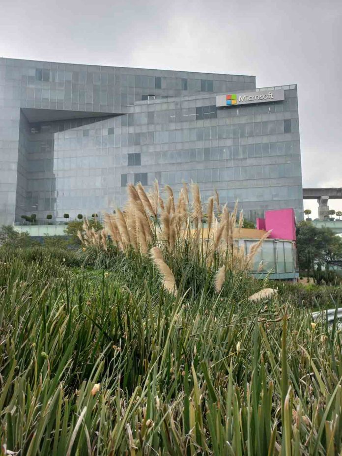 Trabajar en Meta, Microsoft o Google ¿cómo ser parte de unas de las empresas de tecnología más grande en el mundo?