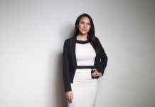 Araña de rincón consejos para prevenir una posible mordedura